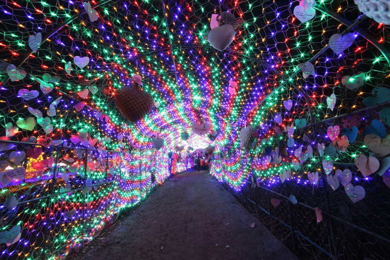 IMG_6253.jpg : 허브 아일랜드 불빛 동화 축제